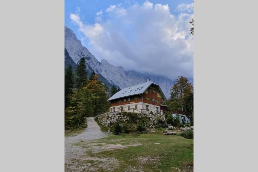 Apartma Kreda Mojstrana Exterior foto
